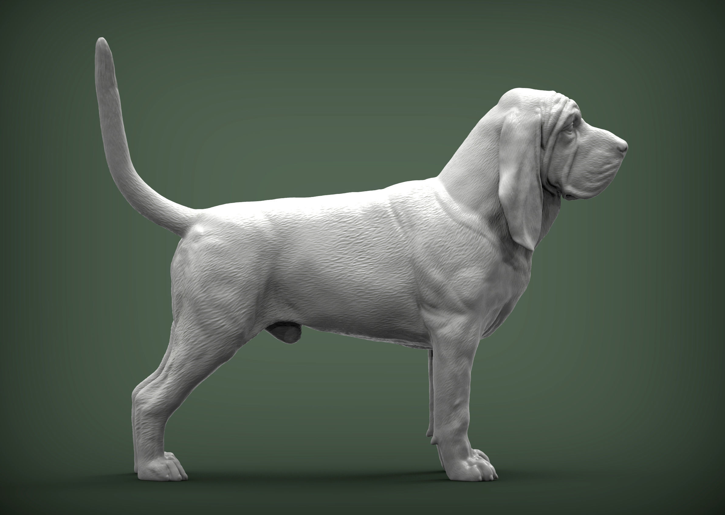 BLOODHOUND 3D print model_4