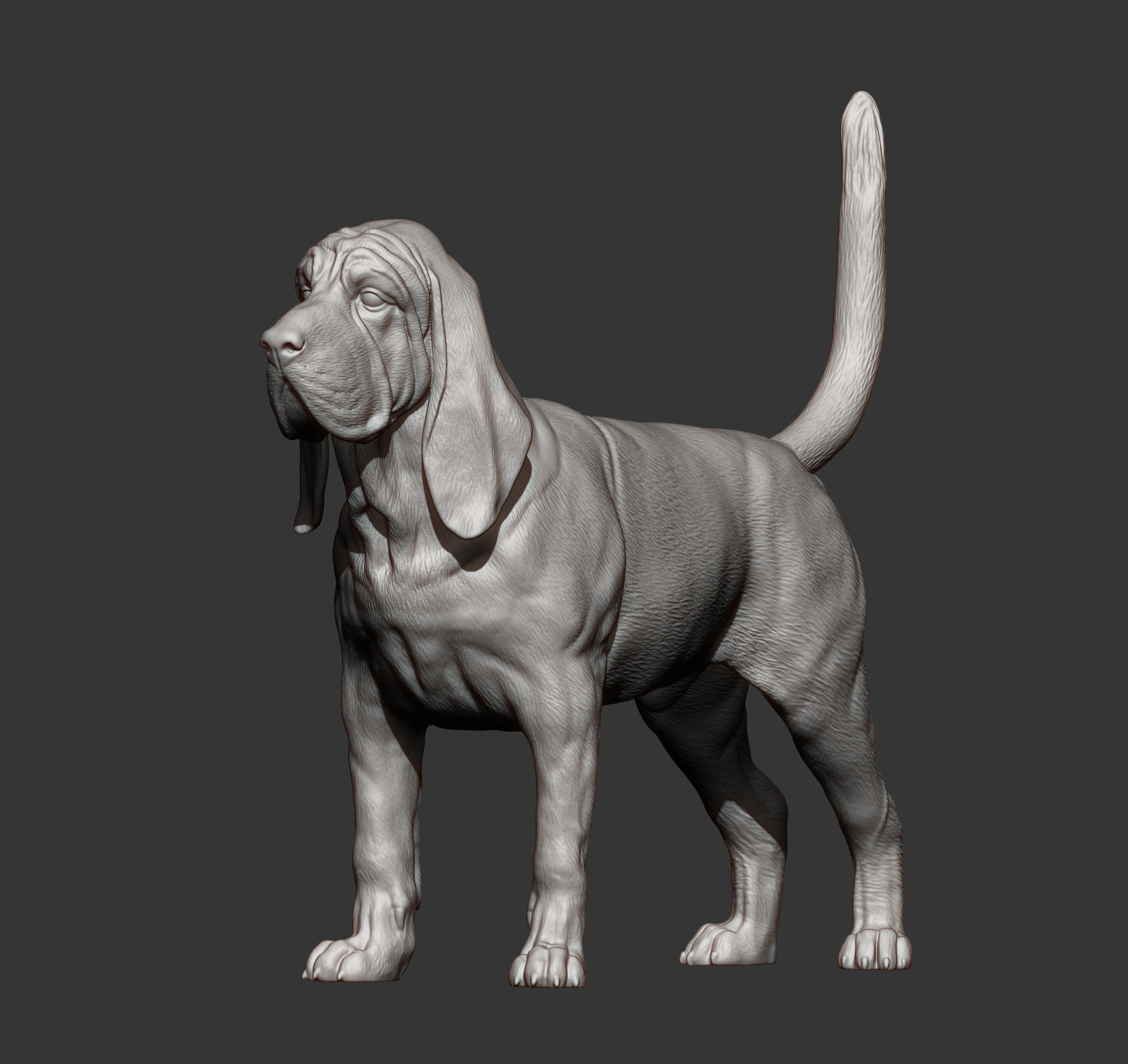 BLOODHOUND 3D print model_6