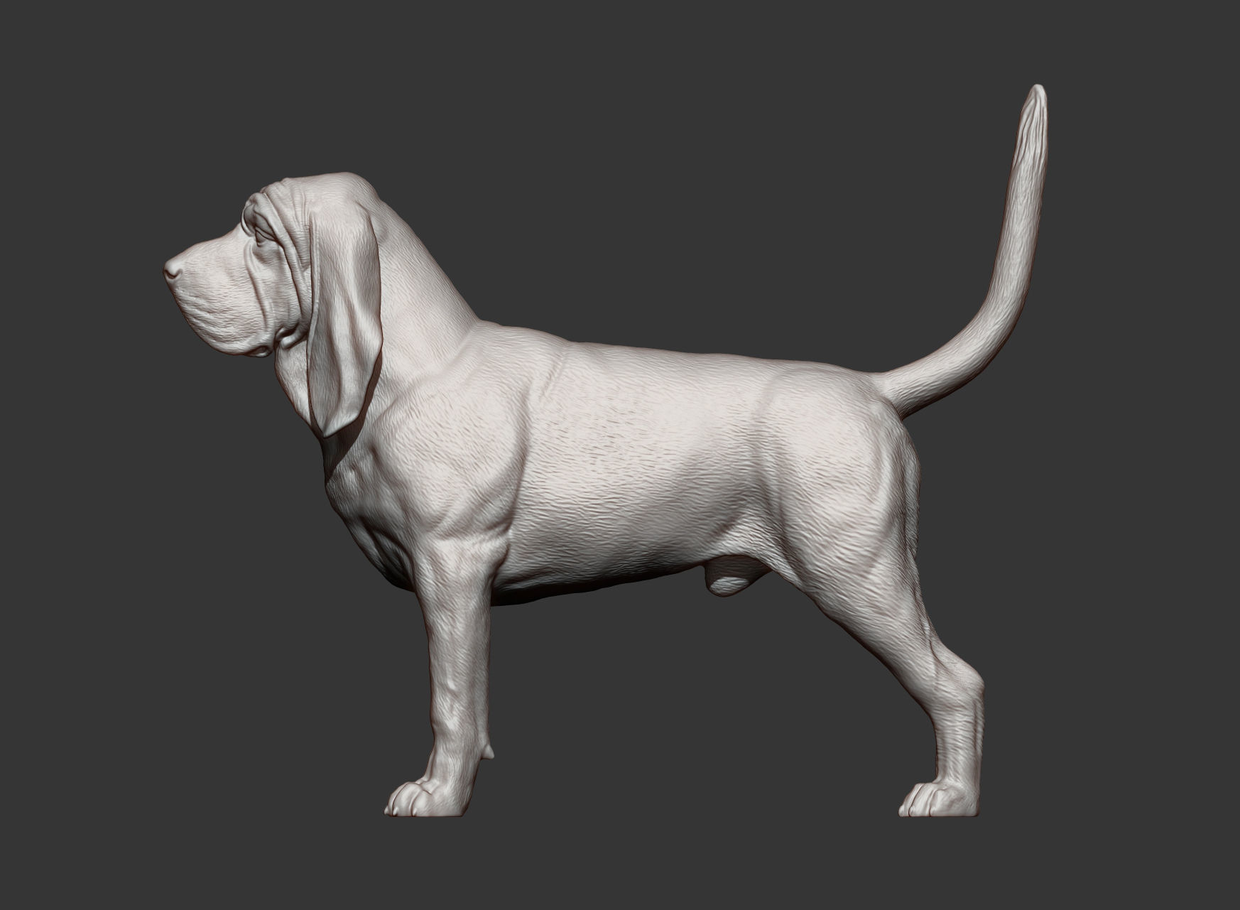 BLOODHOUND 3D print model_9