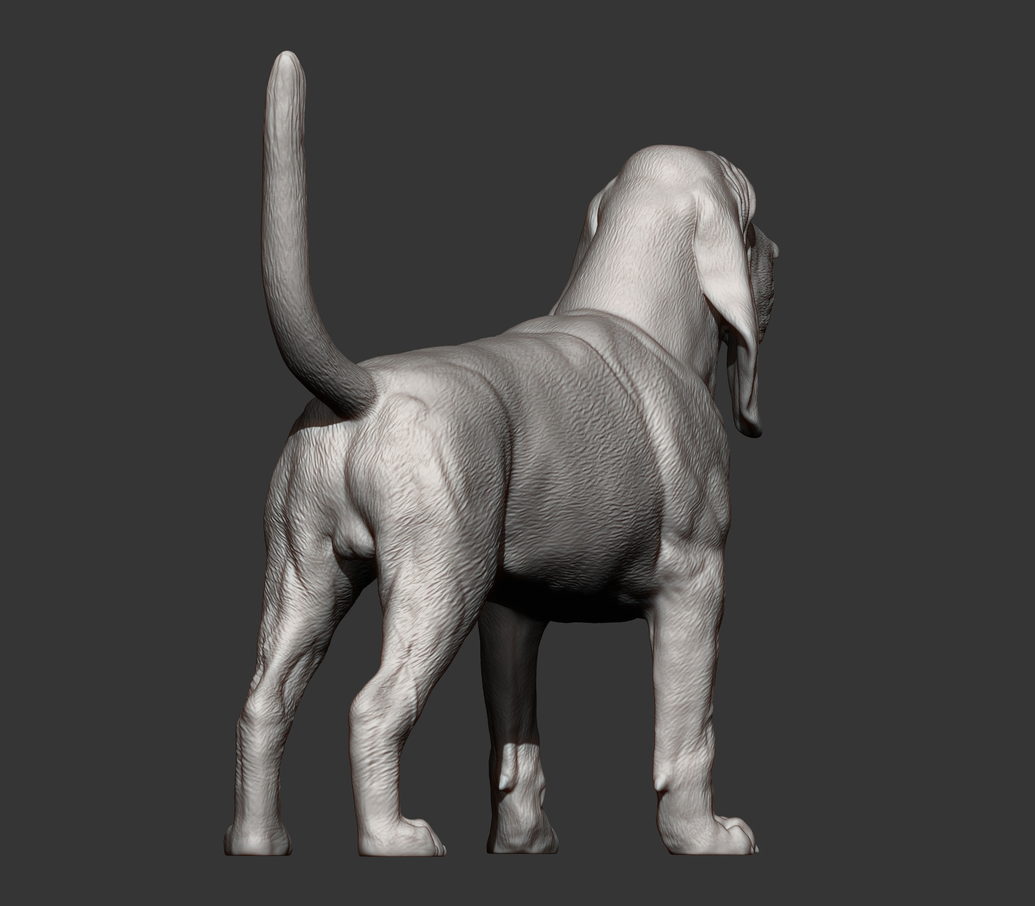 BLOODHOUND 3D print model_7
