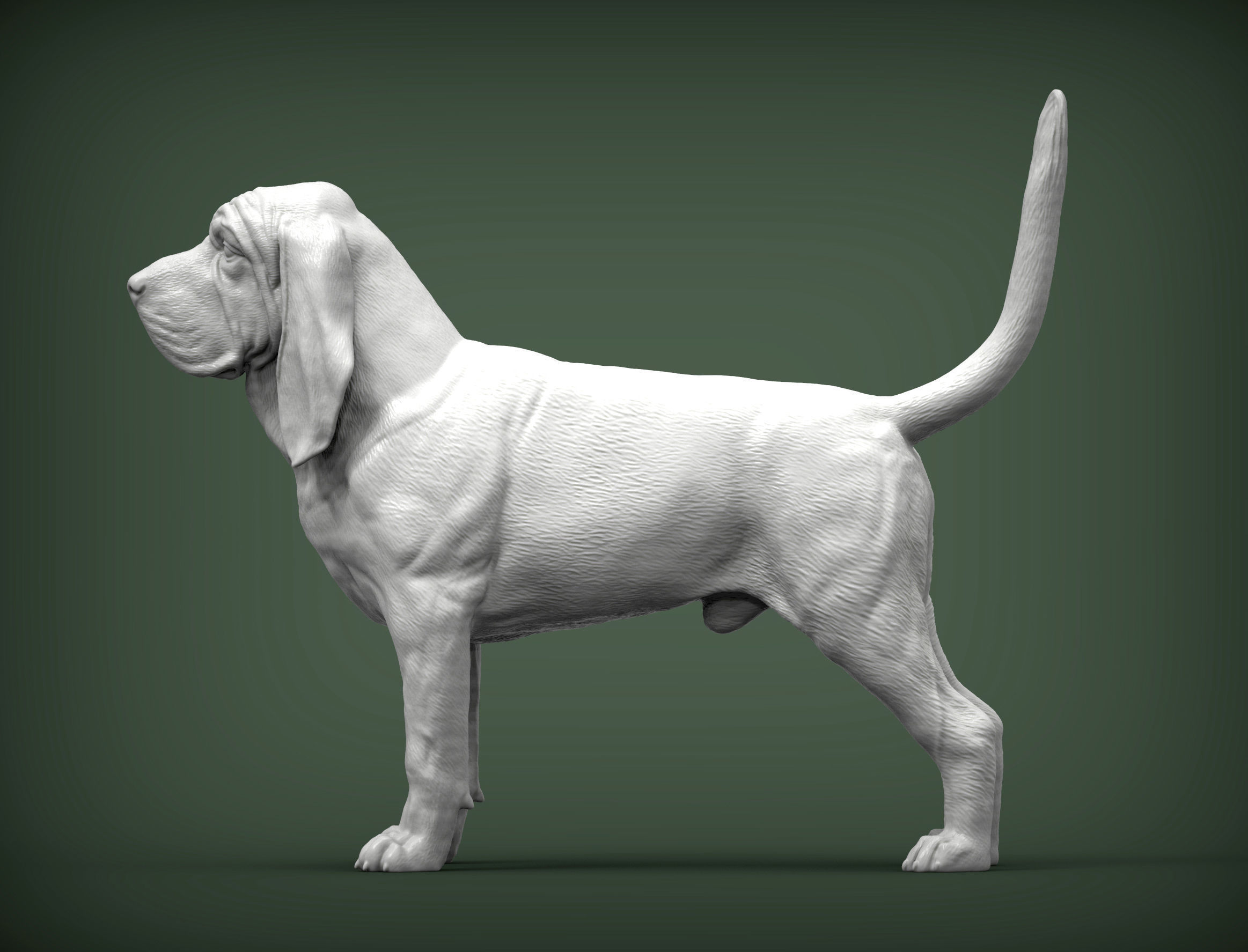 BLOODHOUND 3D print model_2