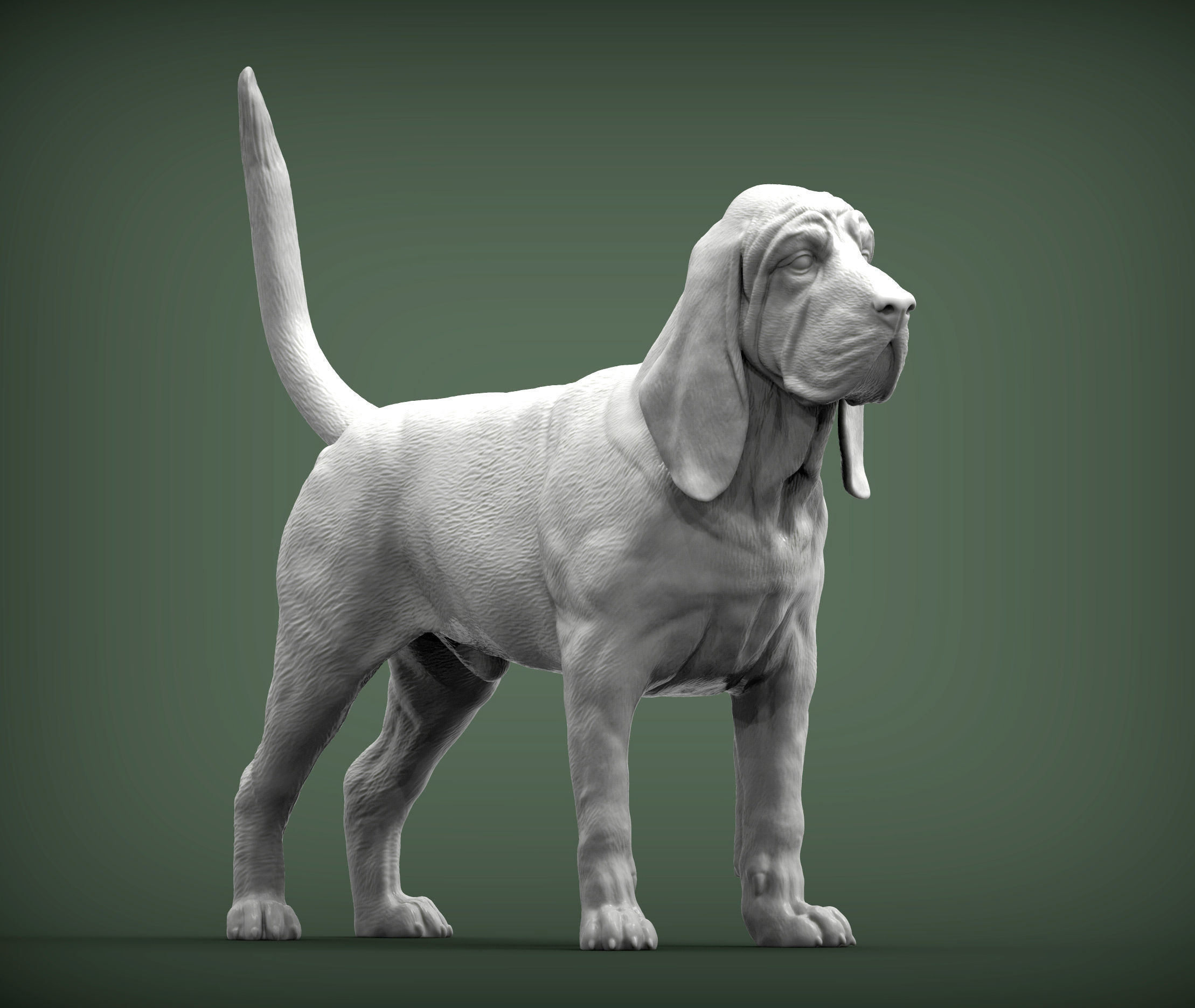 BLOODHOUND 3D print model_3