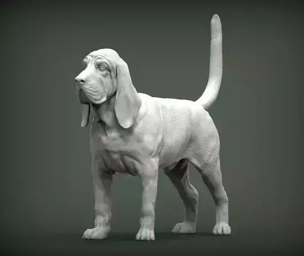 BLOODHOUND 