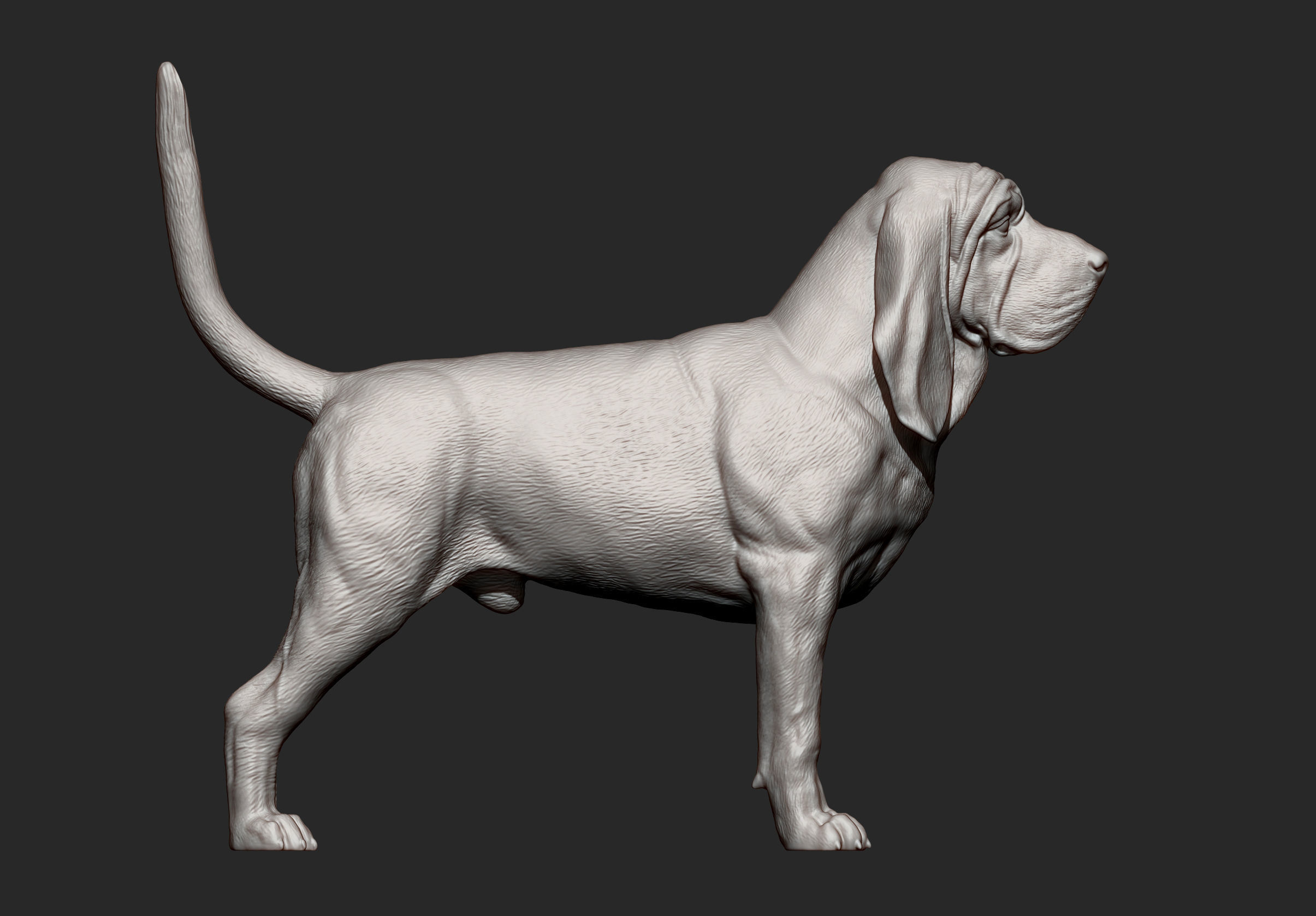 BLOODHOUND 3D print model_12