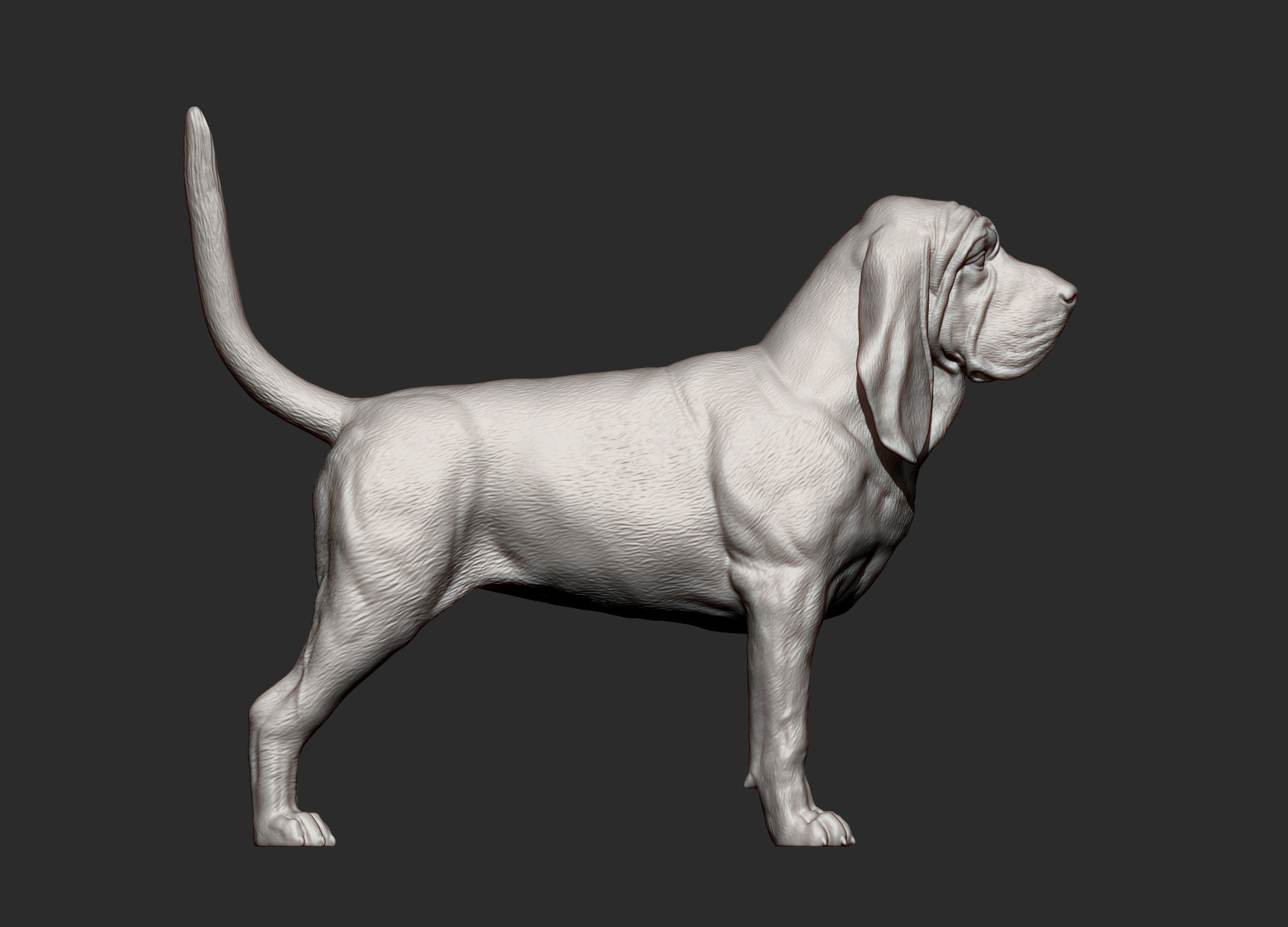 BLOODHOUND 3D print model_8