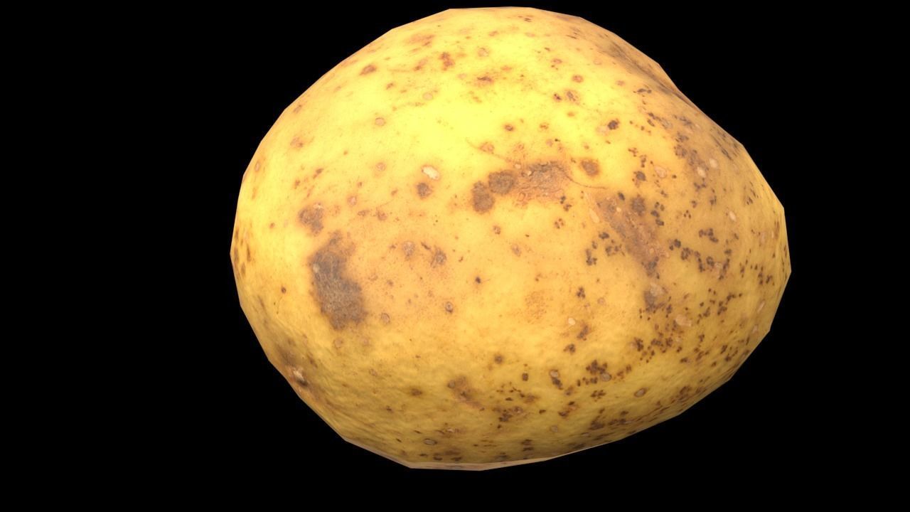 Big Potato Free low-poly 3D model_2