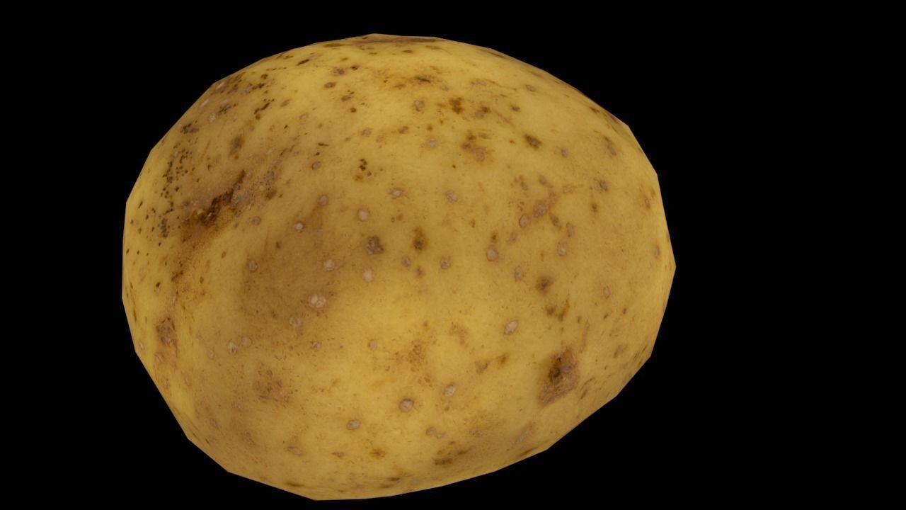 Big Potato Free low-poly 3D model_3