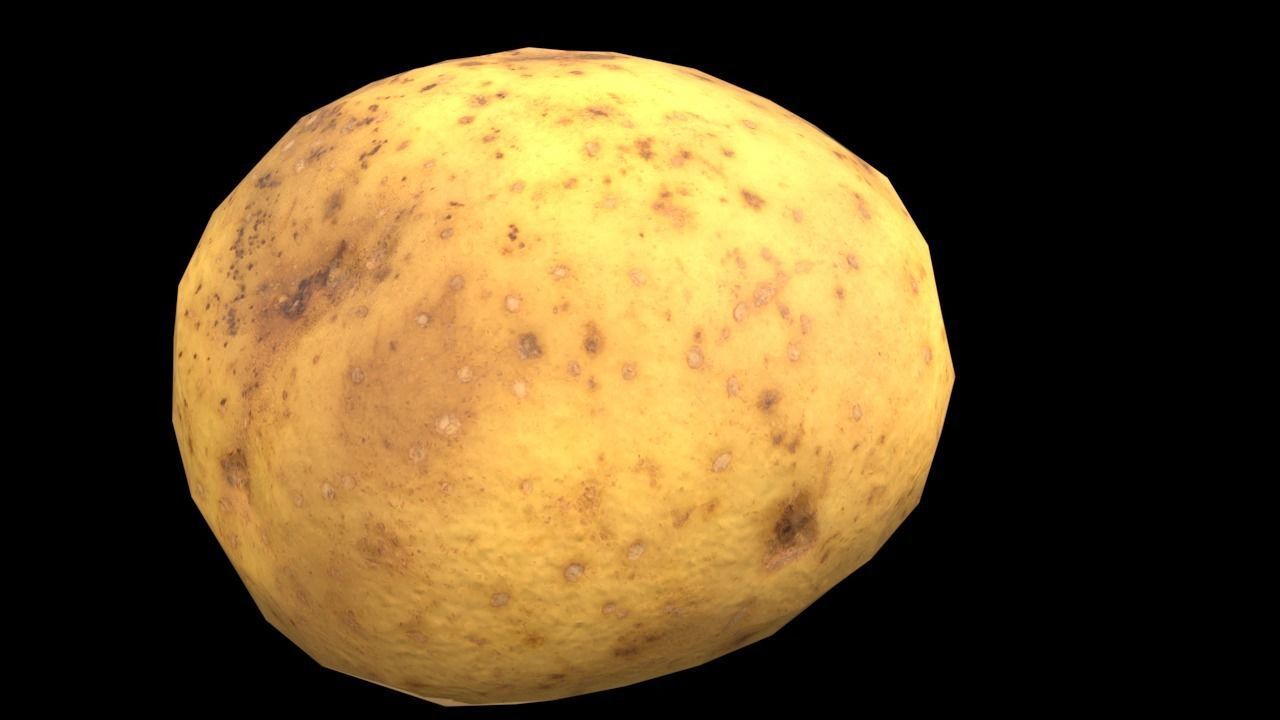 Big Potato Free low-poly 3D model_5