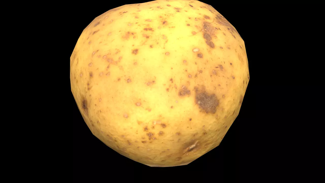 Big Potato Free low-poly 3D model_0