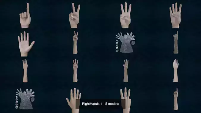RightHands-1 different hand gestures 3D Model Collection