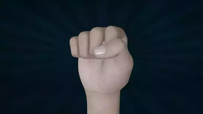 HAND-039 Right hand fist