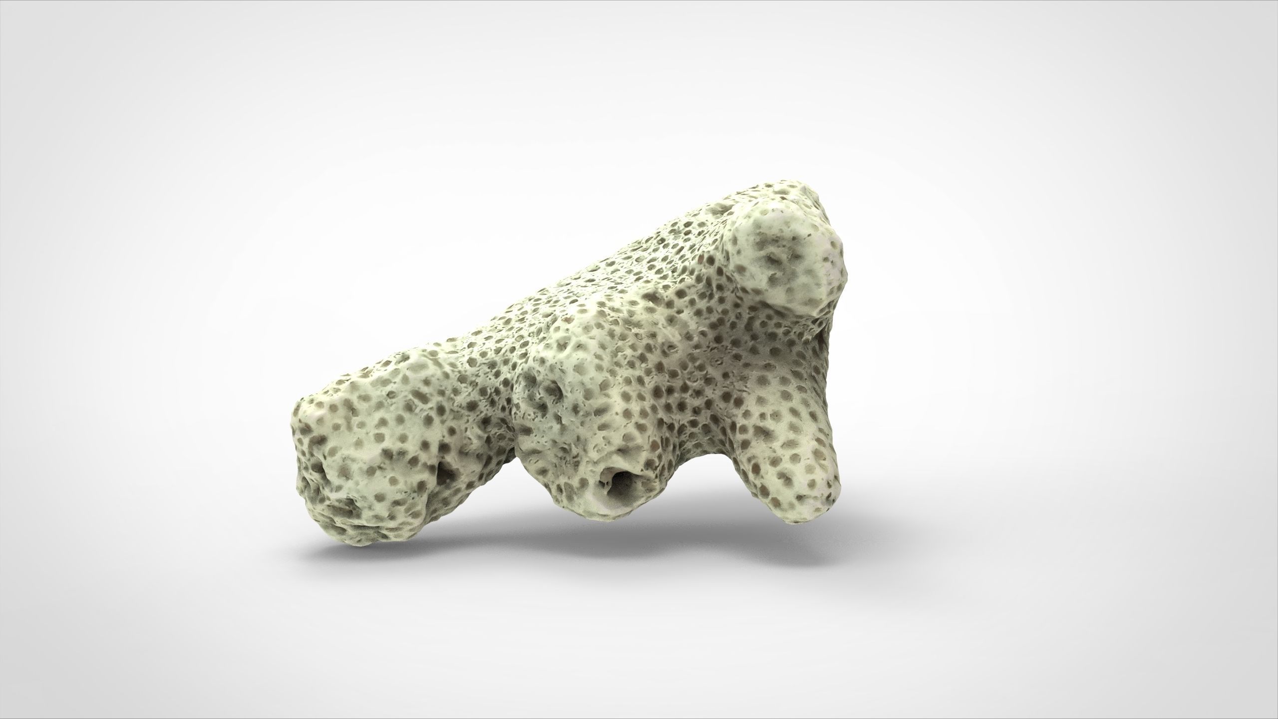 white coral 3D model_1