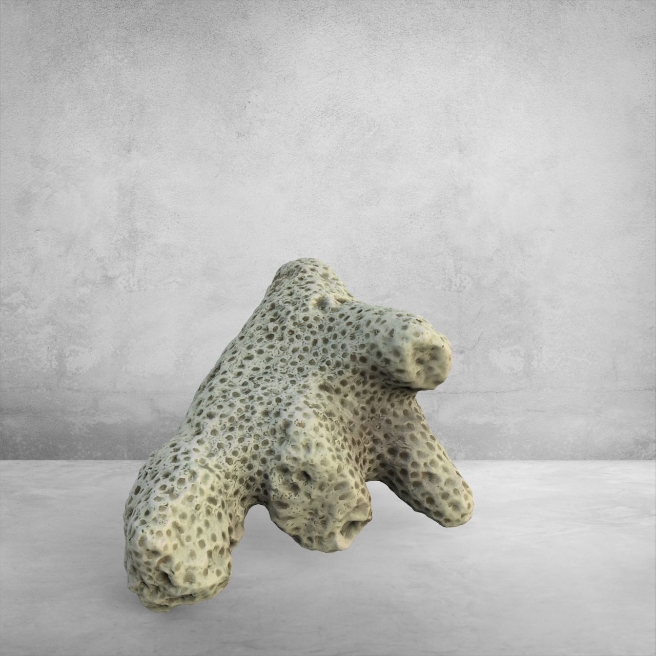 white coral 3D model_3