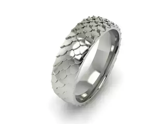 Ring Snake Scales 3D print model