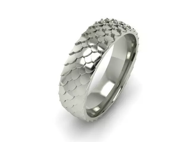 Ring Snake Scales 3D print model_0
