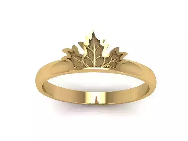 Ring Maple Leaf 3D print model