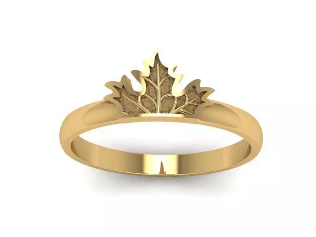Ring Maple Leaf 3D print model_0