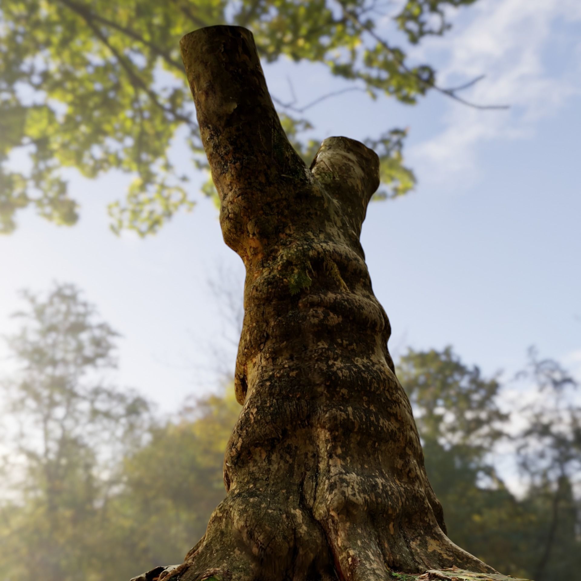 Old Gnarled Birch Tree 3D model_3