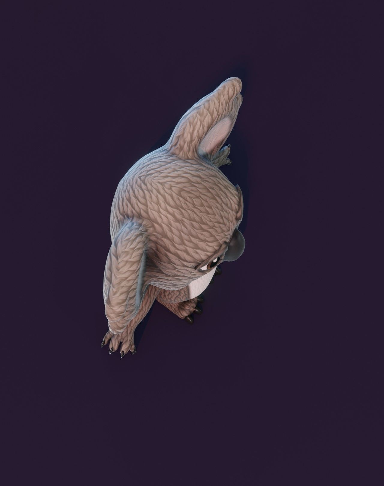 Cartoon Koala Rigged 3D Model Low-poly 3D model_8