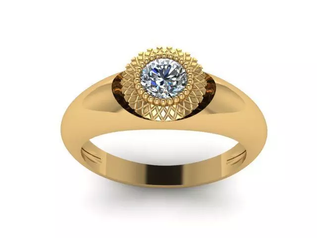 Ring Grid 3D print model_0