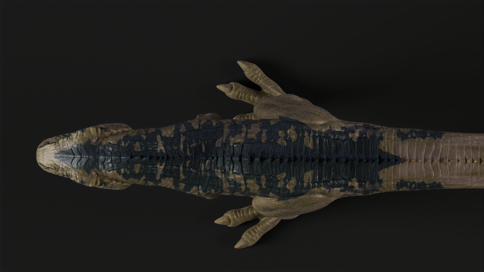 Dinosaur t - rex Low-poly 3D model_5