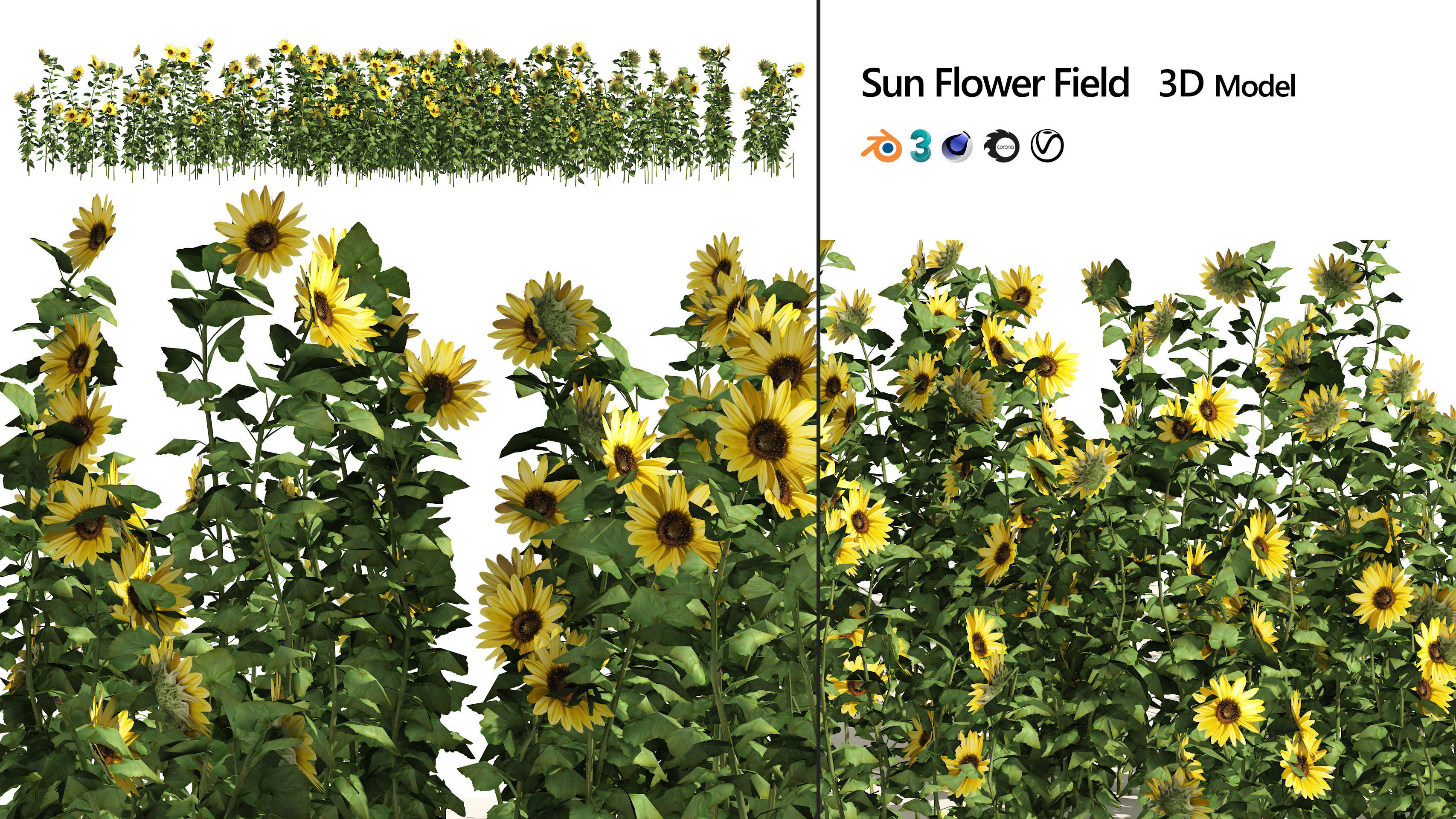sunflower field Low-poly 3D model_5