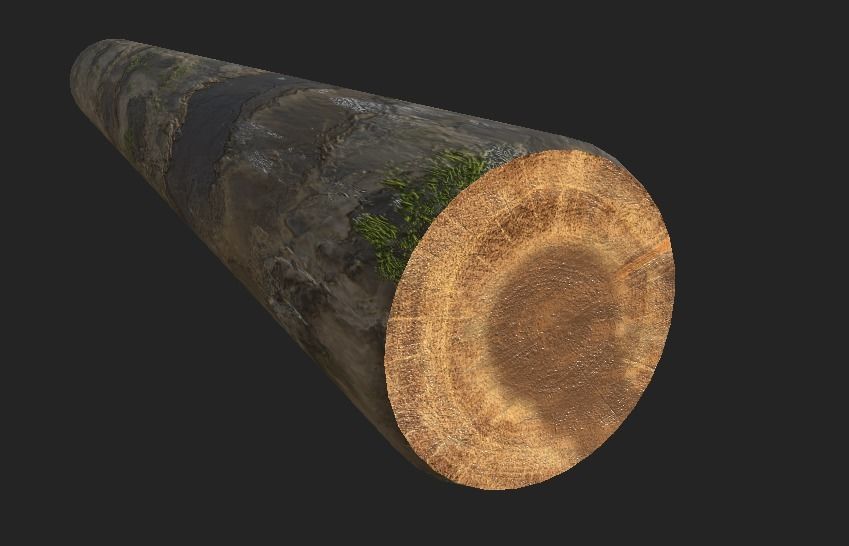 Tree Log - low poly 3D model_1