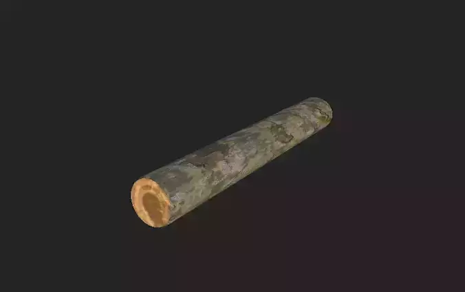 Tree Log - low poly 3D model