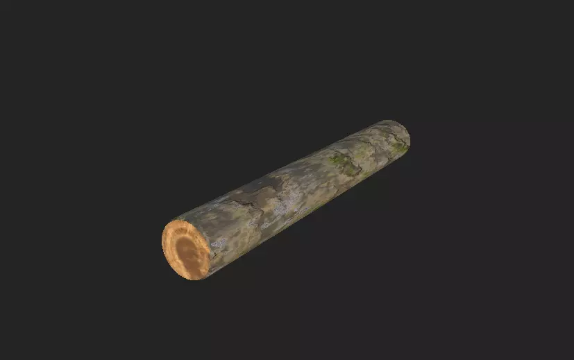 Tree Log - low poly 3D model_0