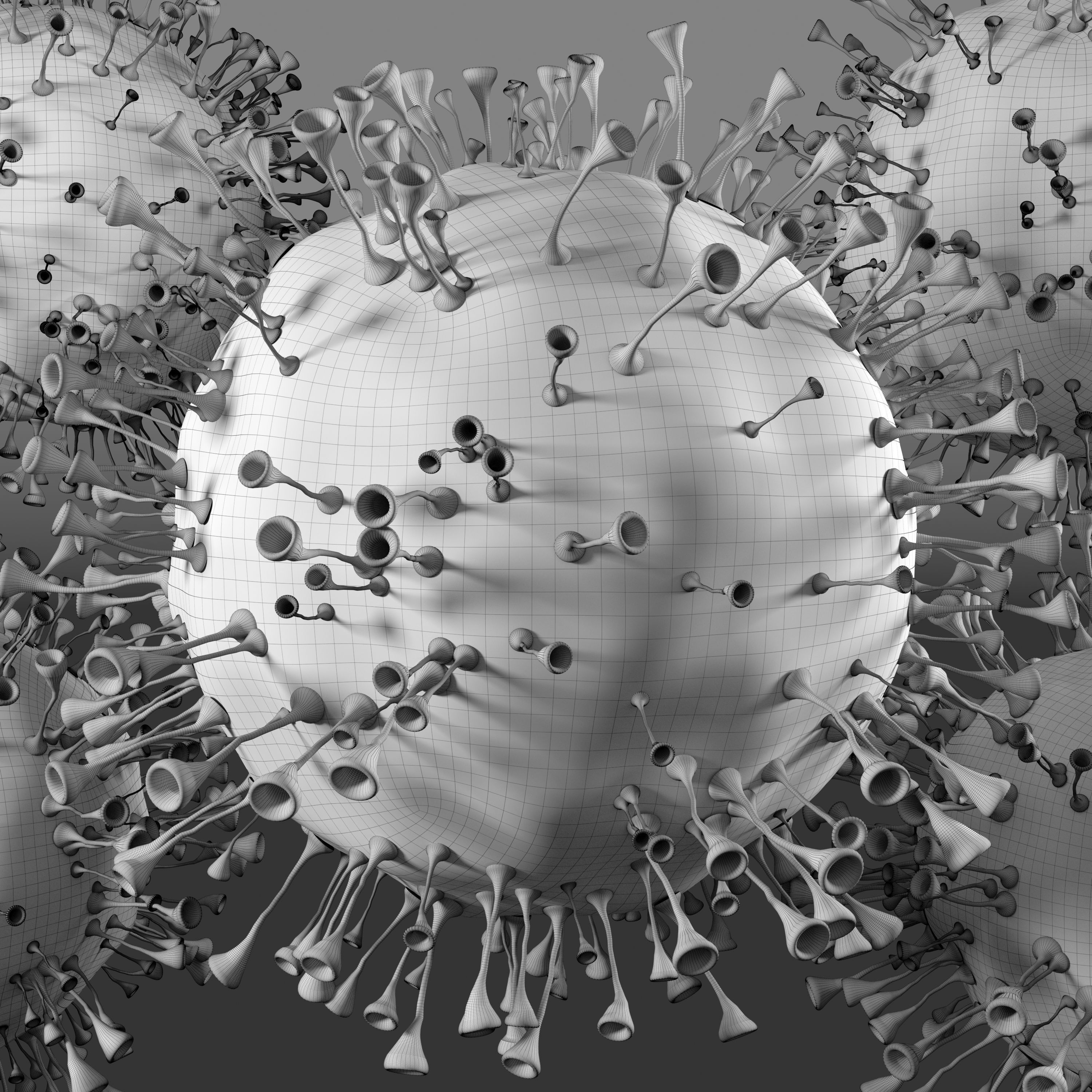 3D model Coronavirus 2019-nCoV Electron Microscopy free 3D model | CGTrader