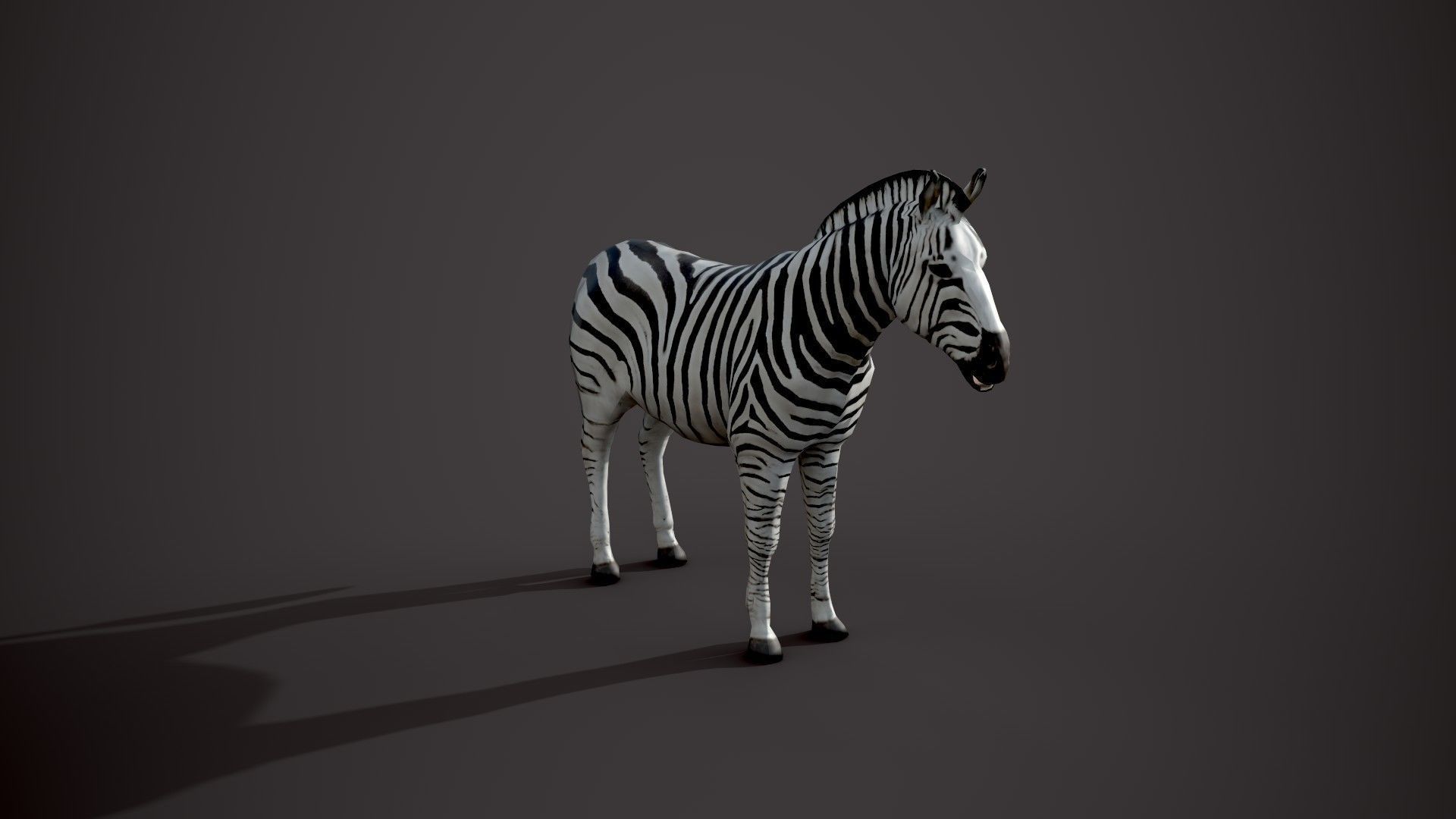 Animal Zebra 3D model_6