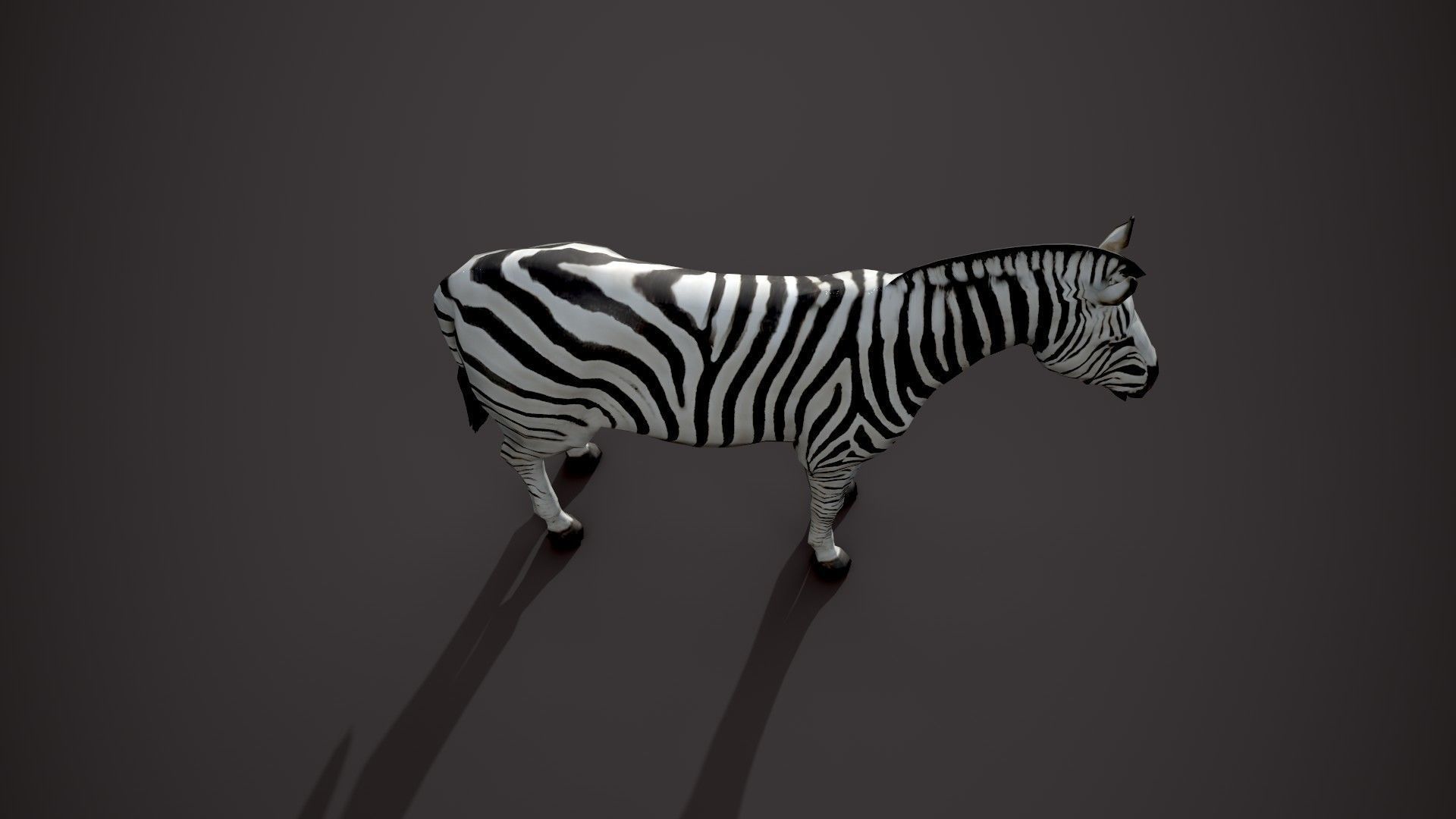 Animal Zebra 3D model_14