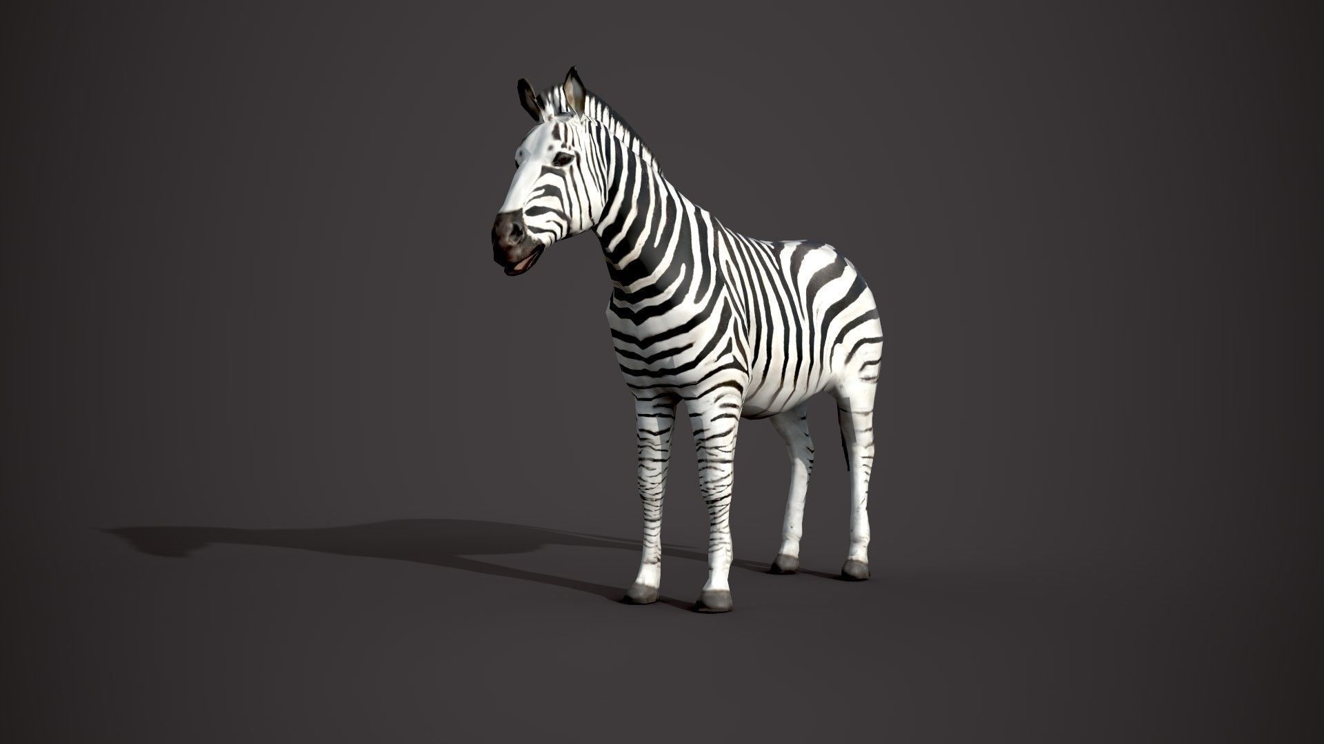 Animal Zebra 3D model_16