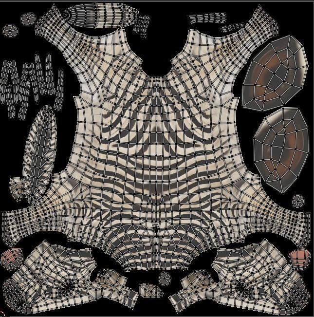 Animal Zebra 3D model_22