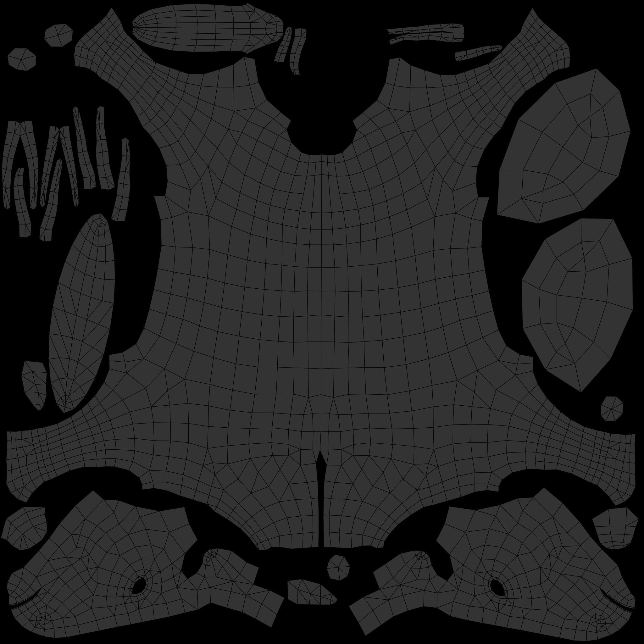 Animal Zebra 3D model_23