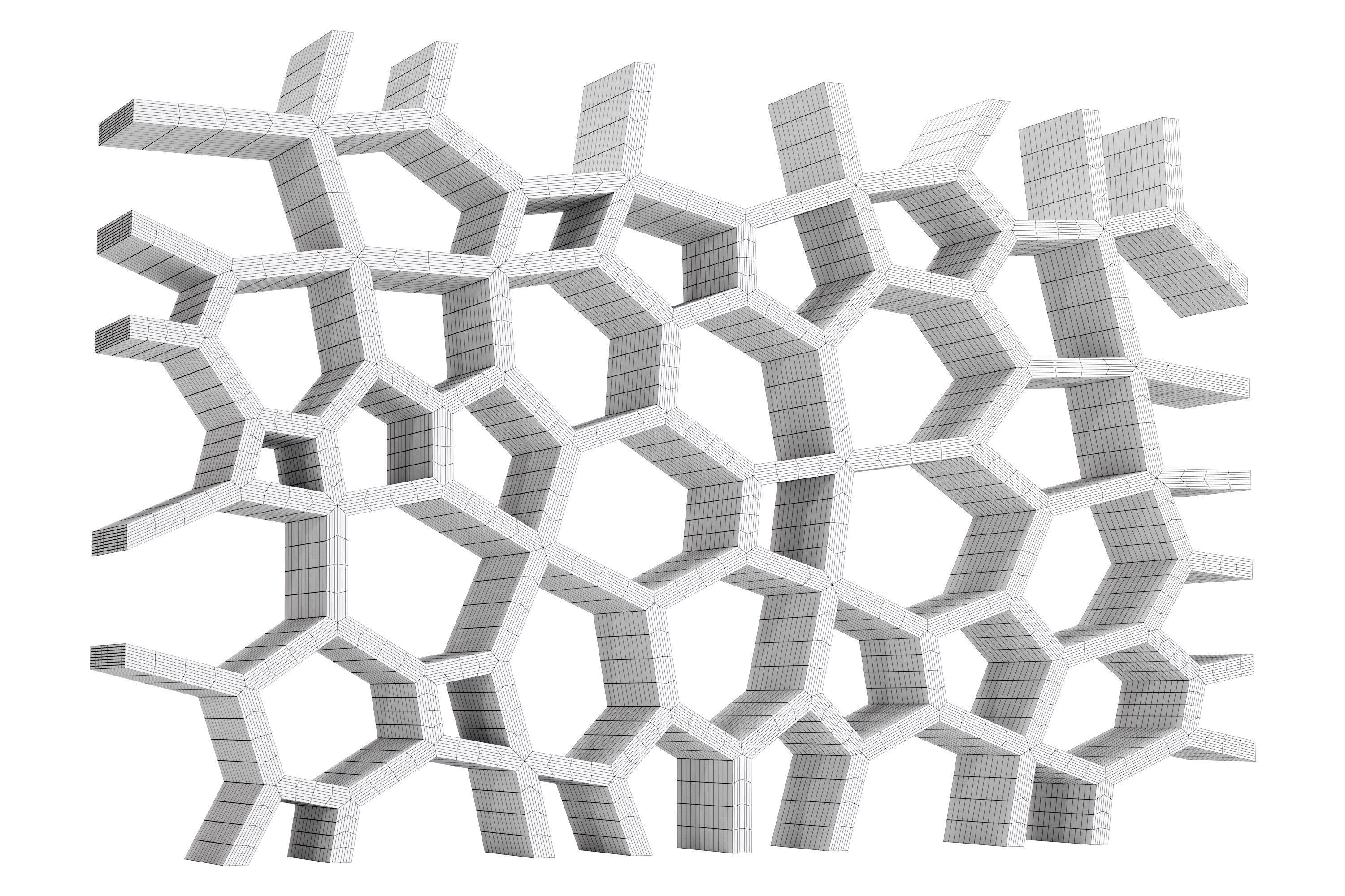 Voronoi Shelf 3D model_2