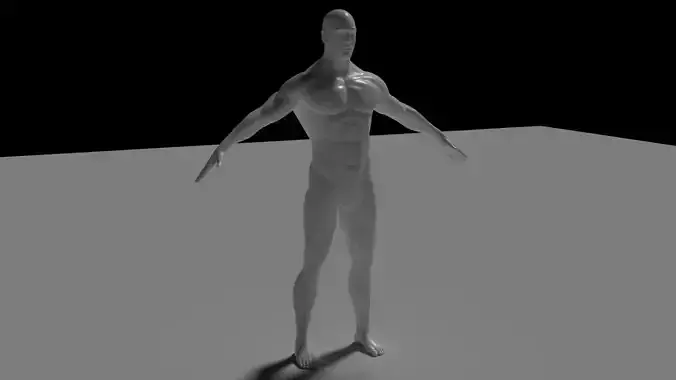 Human Male Model