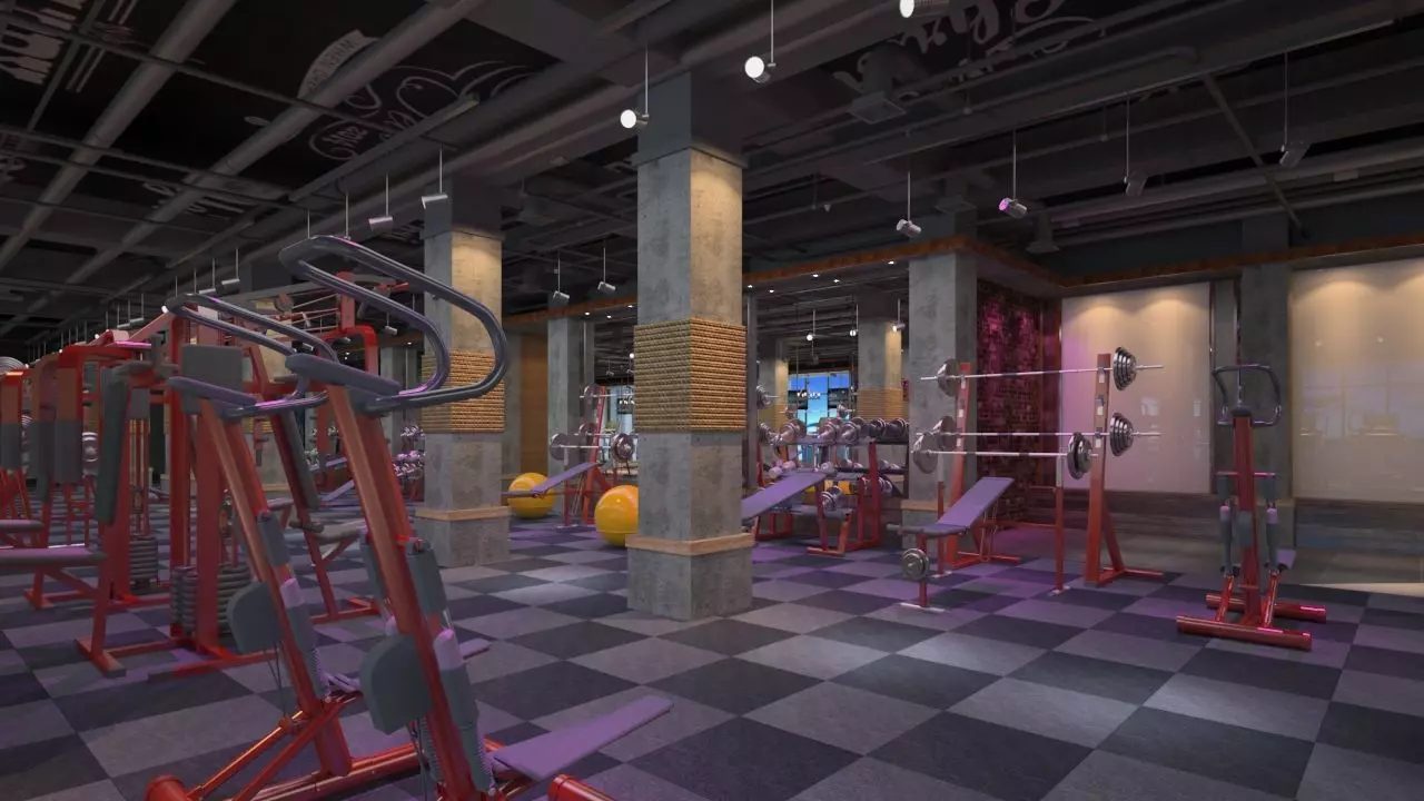 Gym design 3D model_0