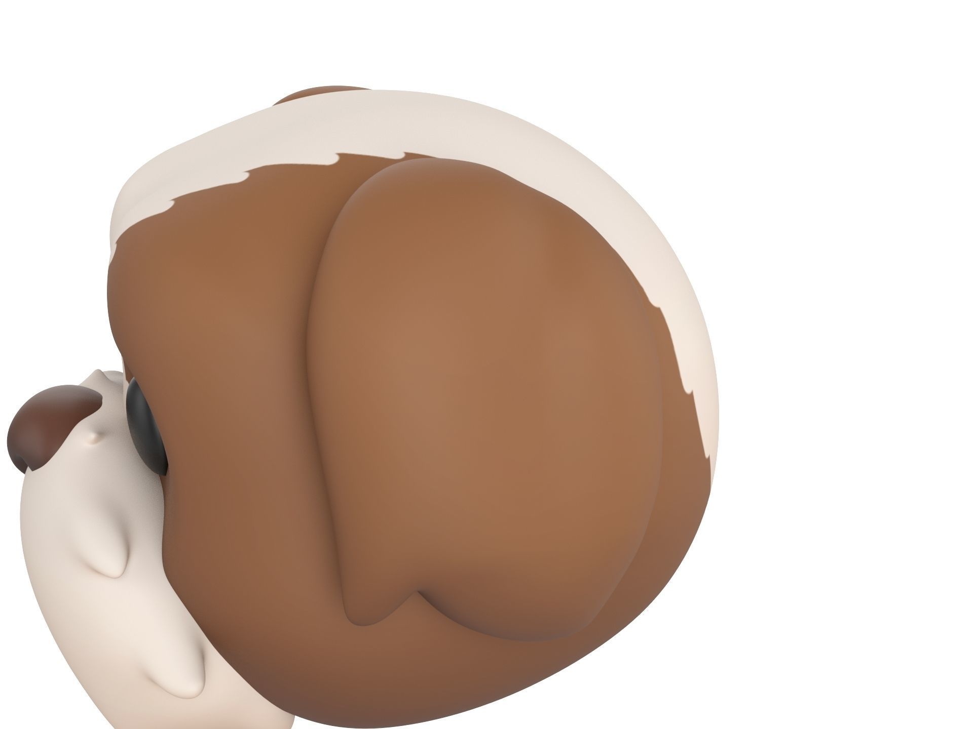 Prop190 Shih Tzu Dog Head 3D model_9