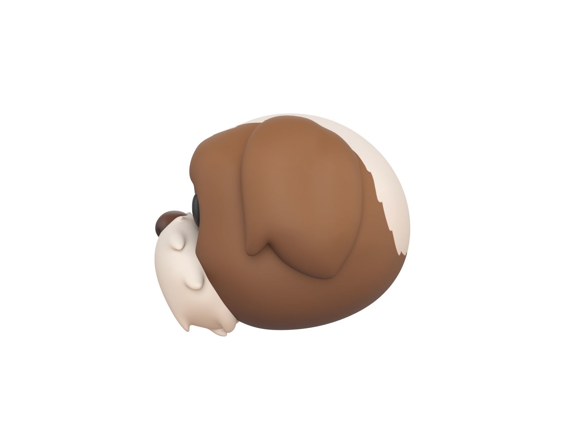 Prop190 Shih Tzu Dog Head 3D model_7