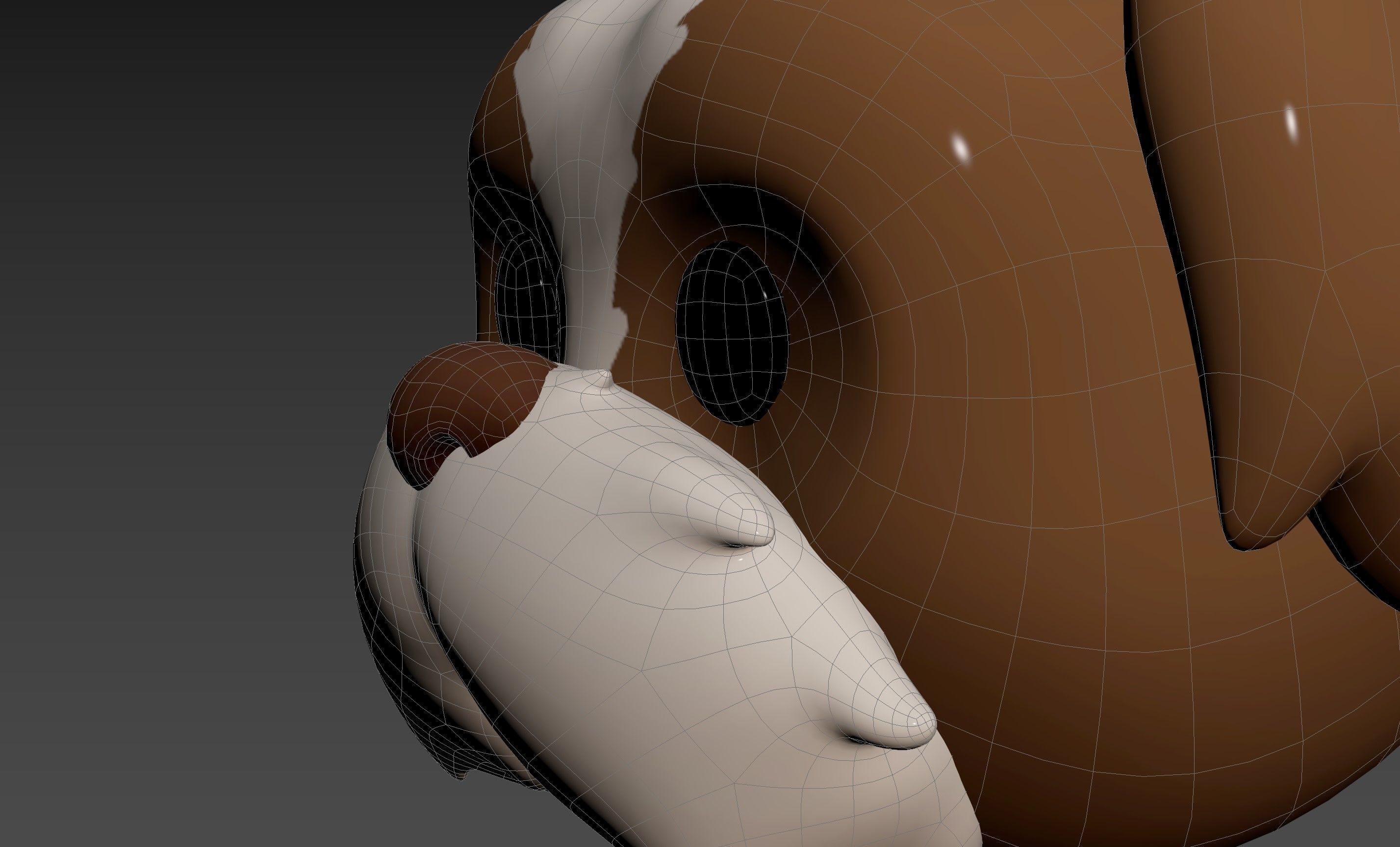 Prop190 Shih Tzu Dog Head 3D model_25