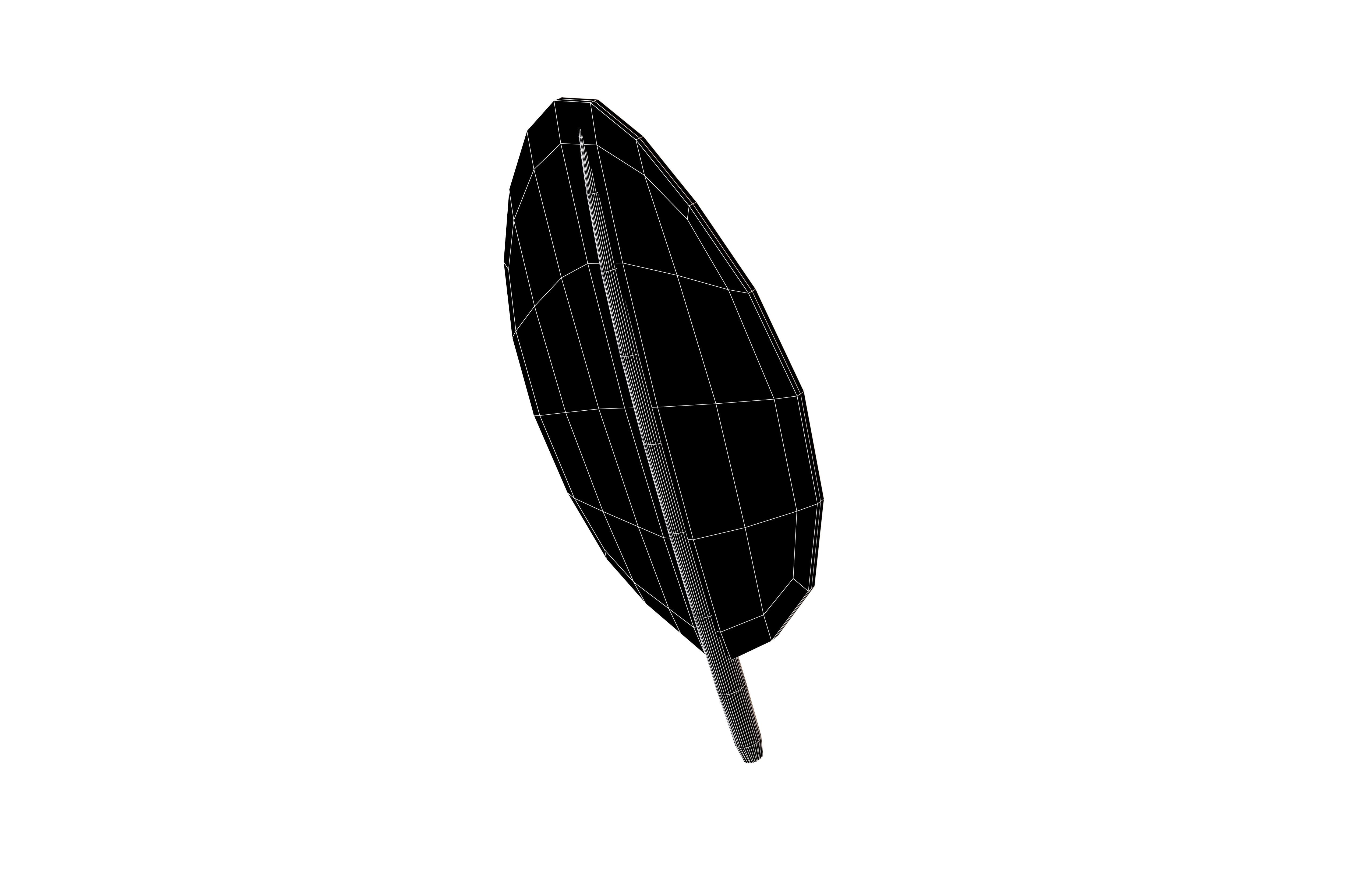 Cartoon Leaf v7 003 Low-poly 3D model_7