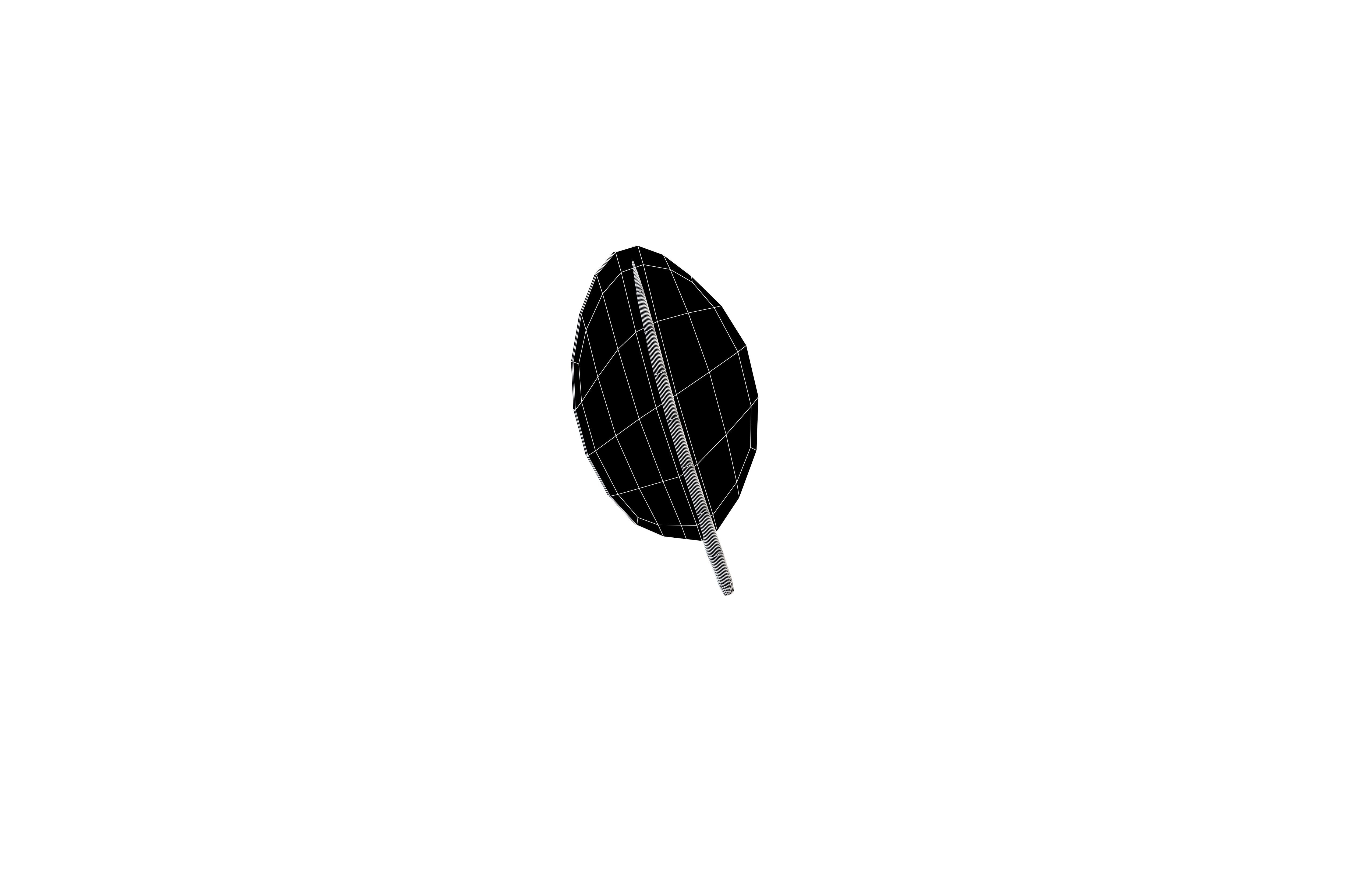 Cartoon Leaf v7 003 Low-poly 3D model_6
