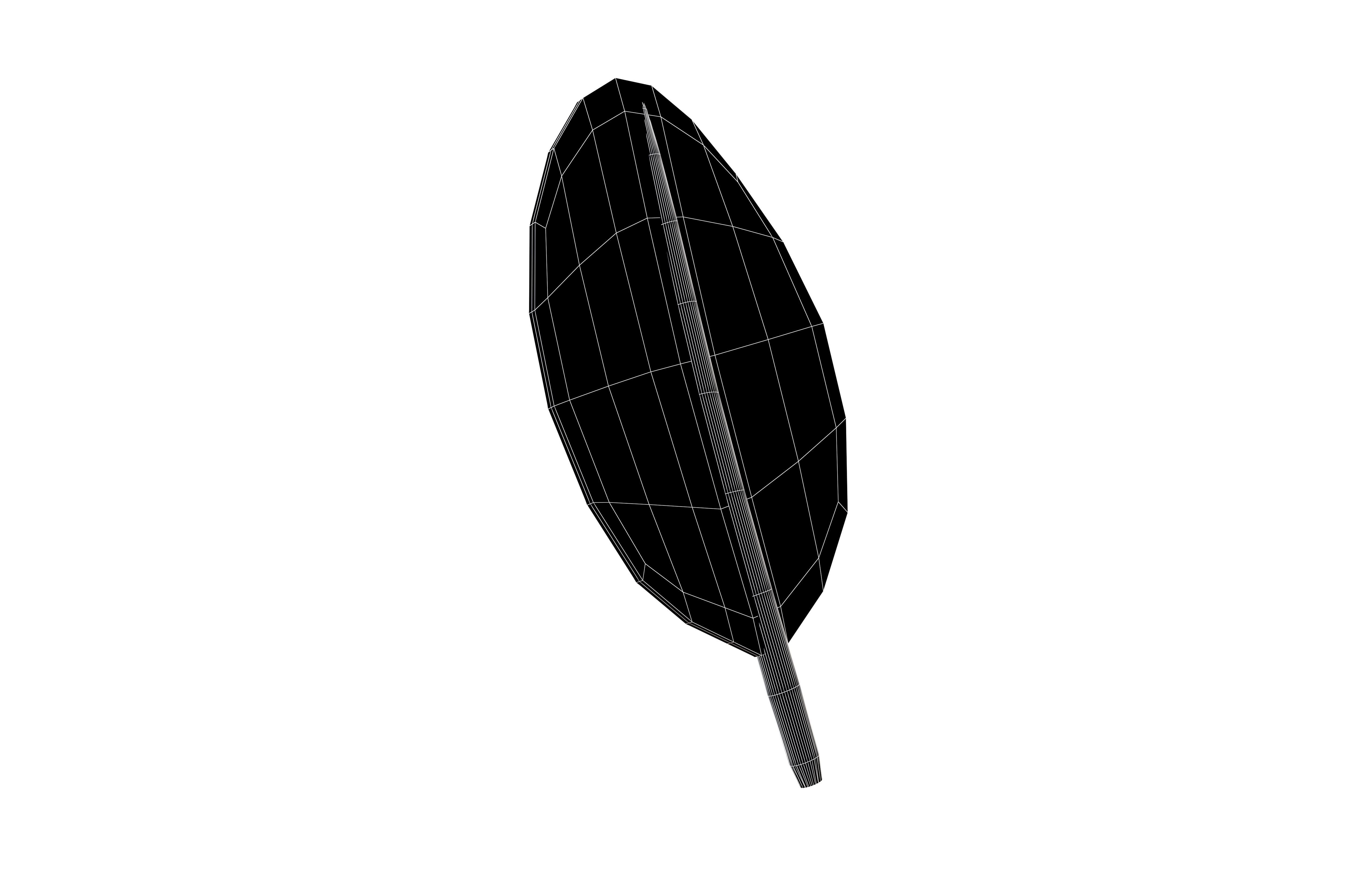 Cartoon Leaf v7 003 Low-poly 3D model_9