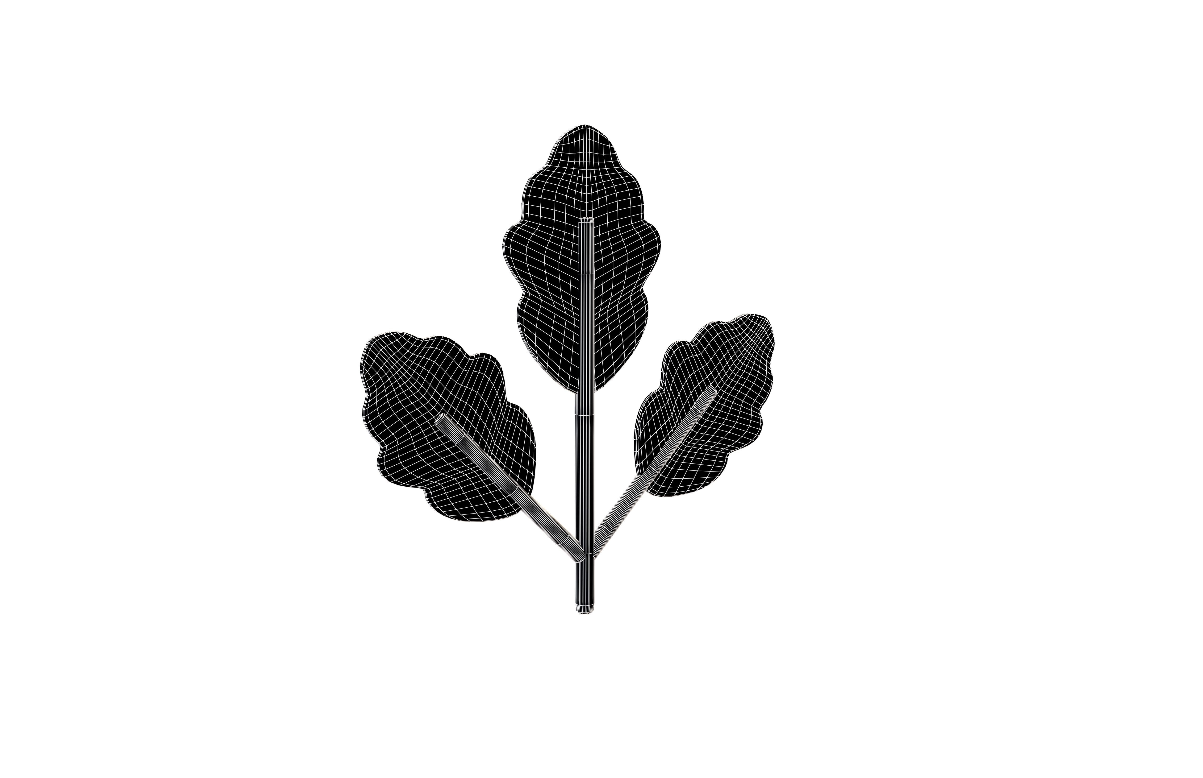 Cartoon Leaf v8 002 Low-poly 3D model_5