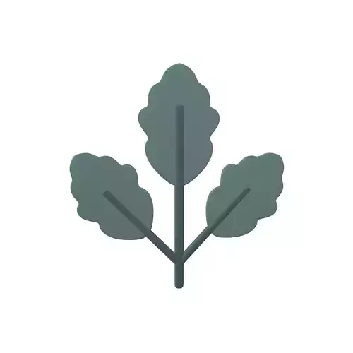 Cartoon Leaf v8 003 Low-poly 3D model