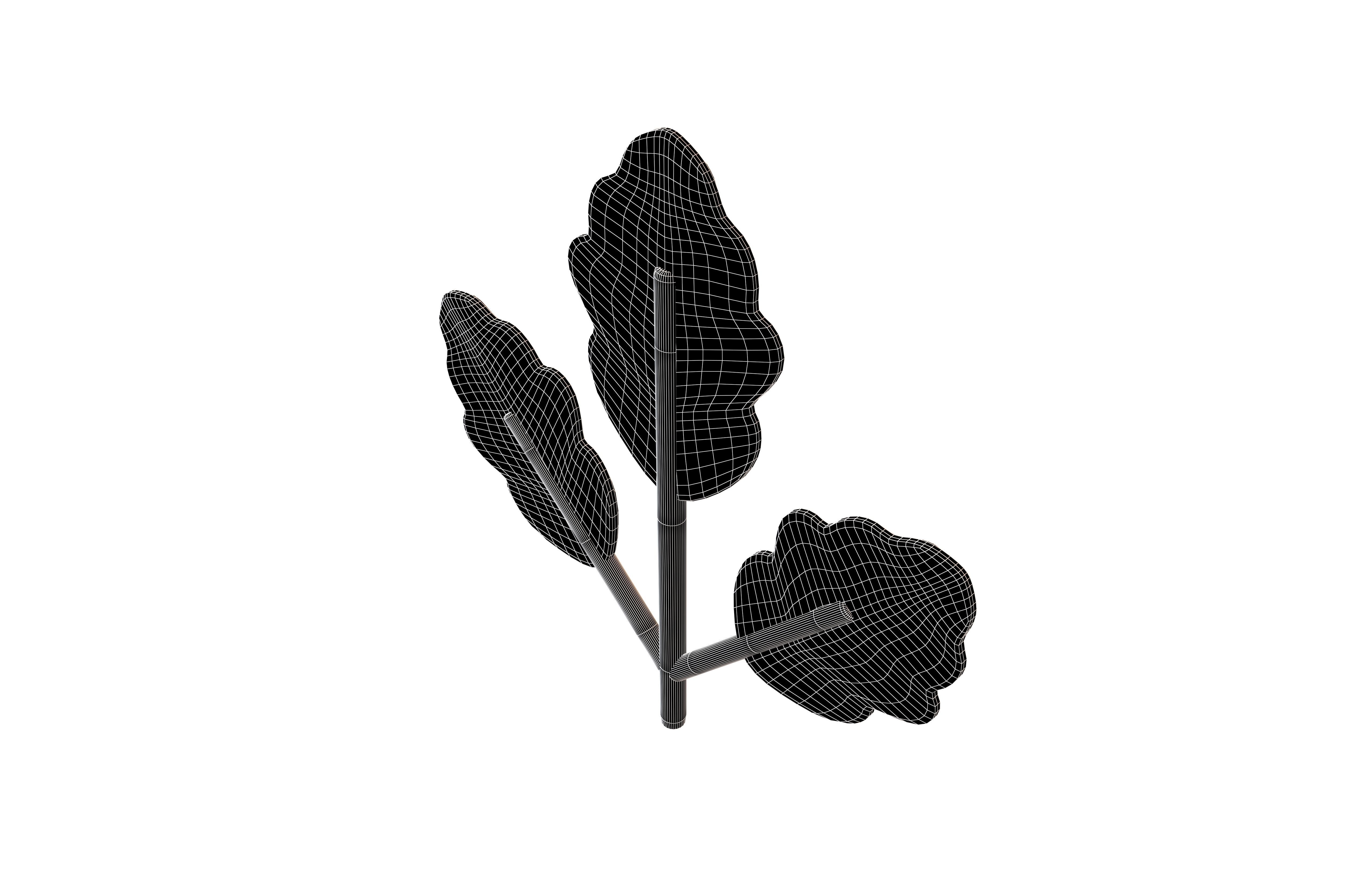 Cartoon Leaf v8 005 Low-poly 3D model_7