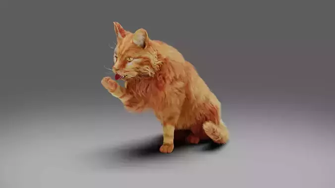Fur Cat Yellow V3 Rigged and Animated 