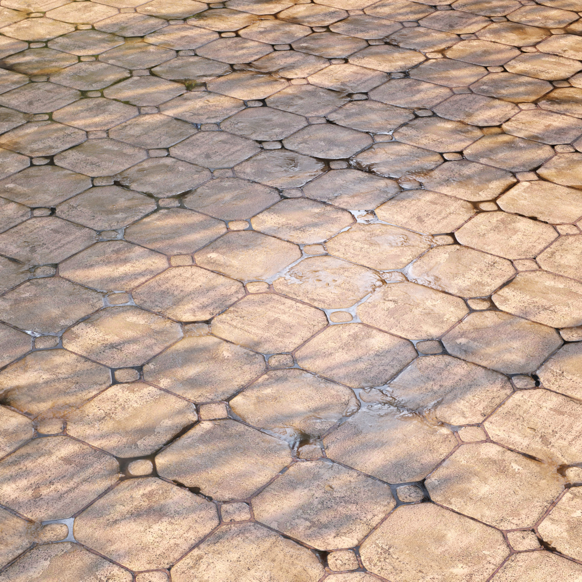 Mrf Wet Pavement Set03 Free low-poly 3D model_2
