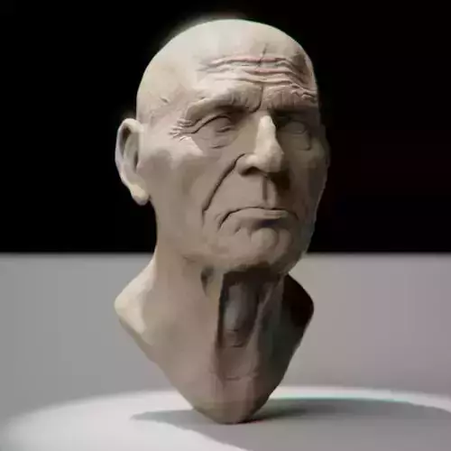 Realistic Bust of a Man